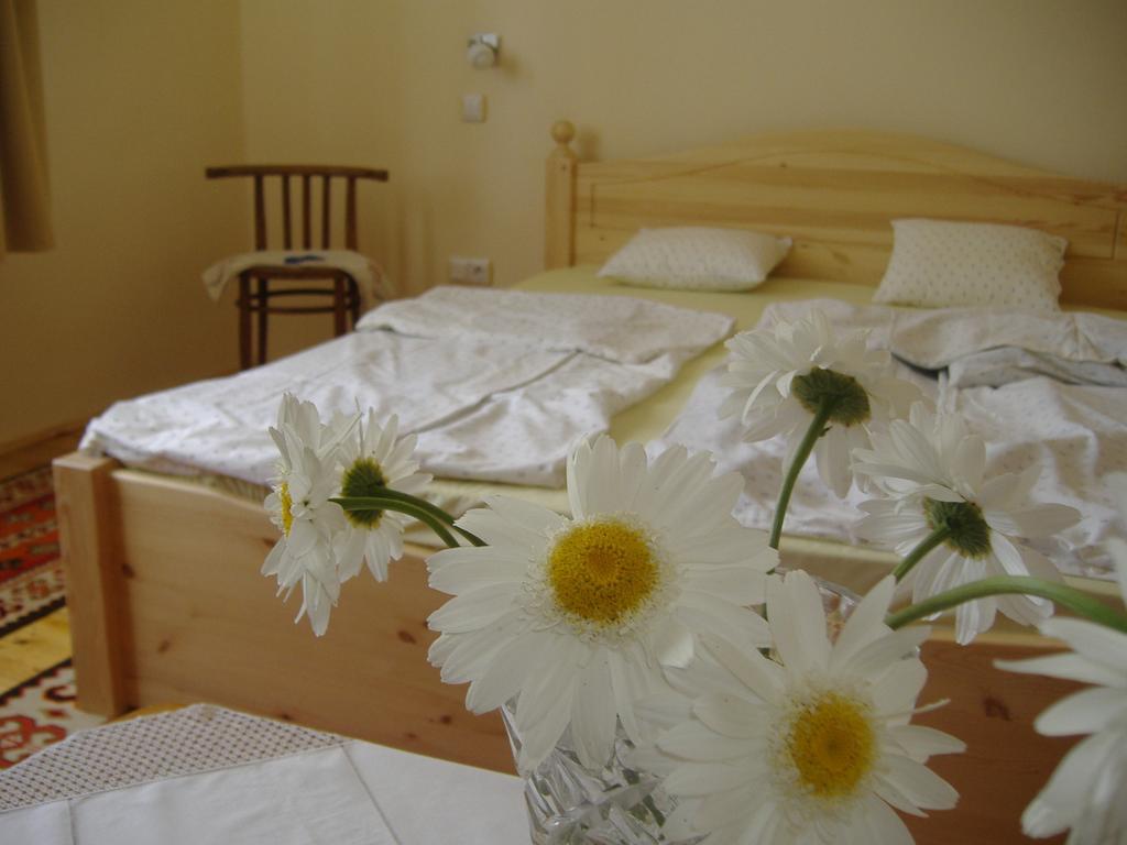 Oeroemvoelgy Vendeghaz Hotel Bozsva Ruang foto